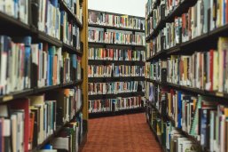 Bücherregale